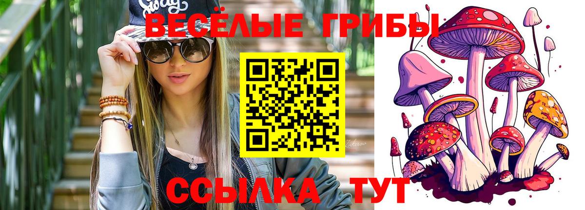 Псилоцибиновые грибы мухоморы Калач-на-Дону