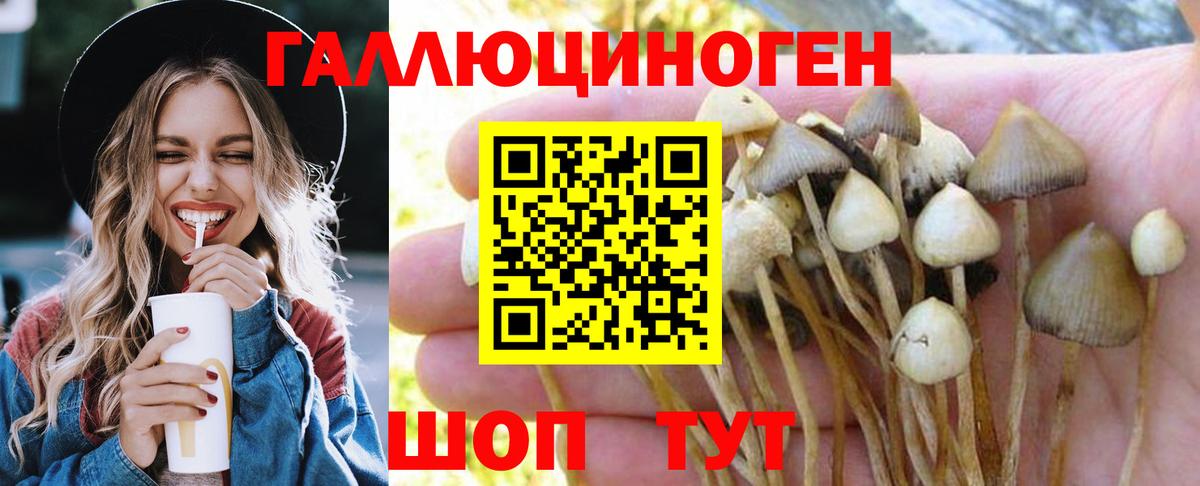 Калач-на-Дону  Псилоцибиновые грибы Psilocybe  Вход с VPN 